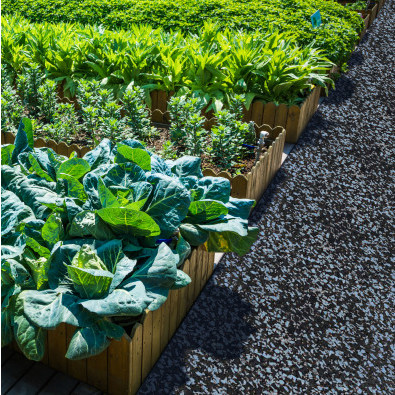 Садовые и дачные дорожки